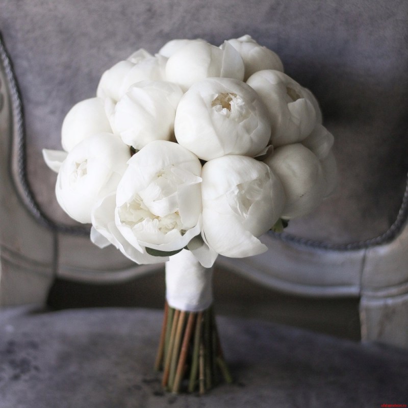 свадебный букет из пионов